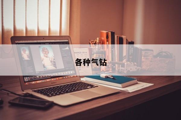 各种气钻