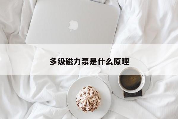 多级磁力泵是什么原理