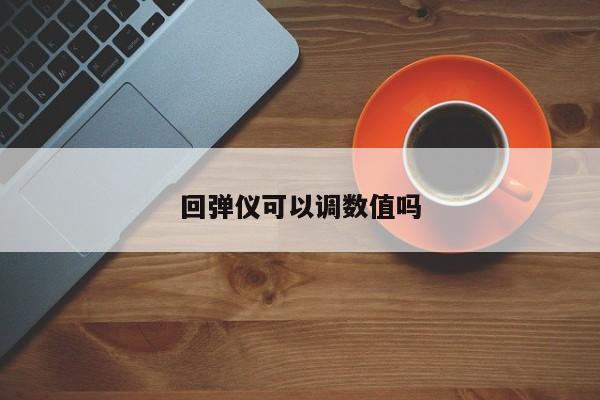 回弹仪可以调数值吗