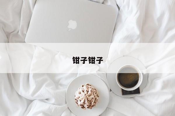 钳子钳子