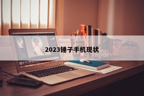 2023锤子手机现状