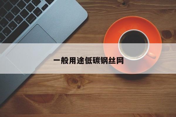 一般用途低碳钢丝网