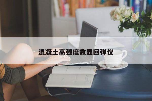 混凝土高强度数显回弹仪