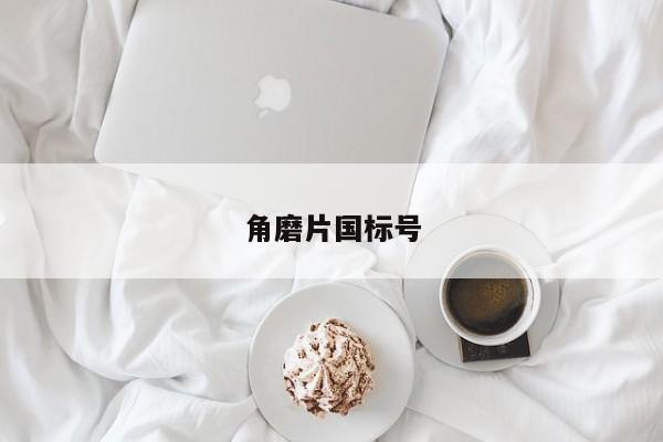 角磨片国标号