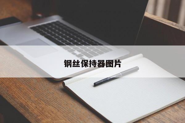 钢丝保持器图片