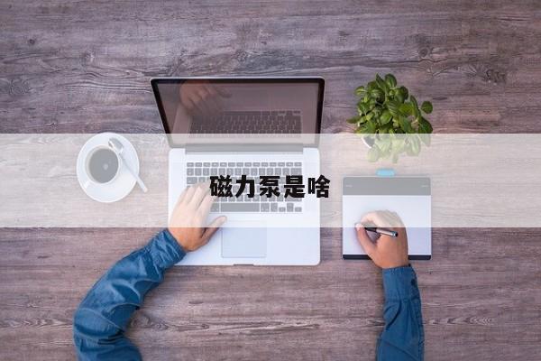 磁力泵是啥