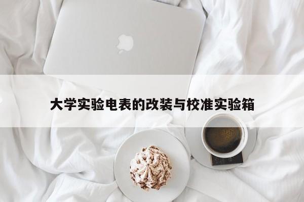 大学实验电表的改装与校准实验箱