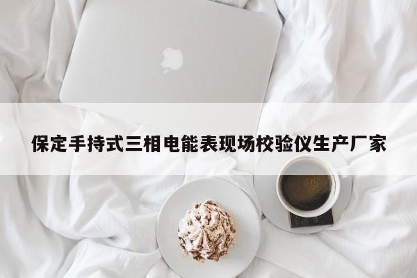 保定手持式三相电能表现场校验仪生产厂家