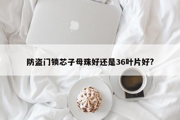防盗门锁芯子母珠好还是36叶片好?